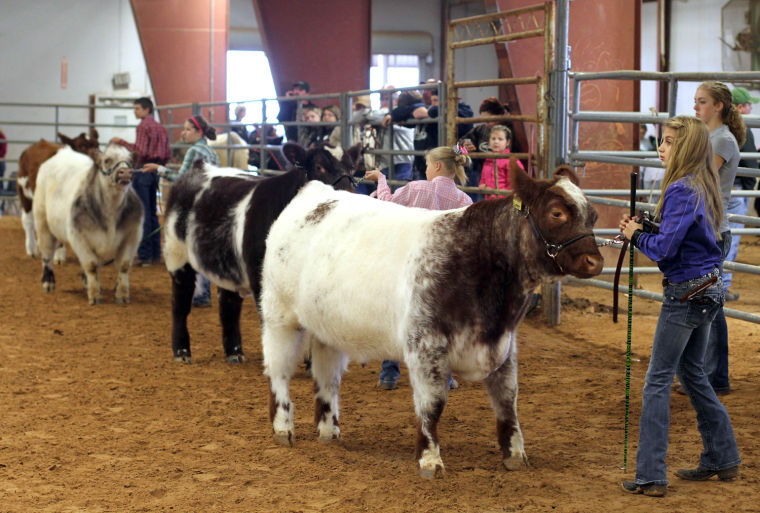 Holiday Classic 2013